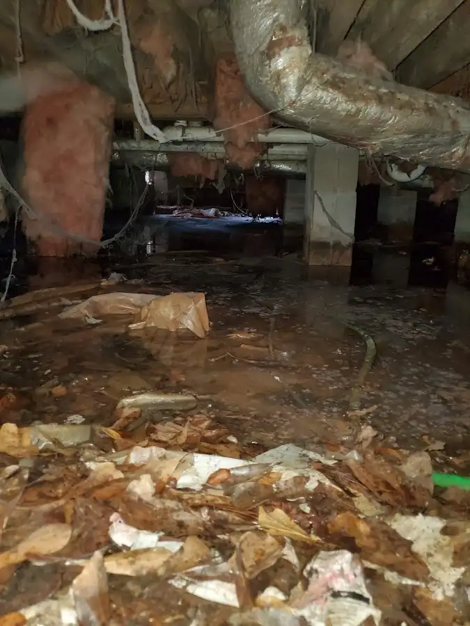Crawl space flood assessment for Leak Detection & Repair in Roscoe