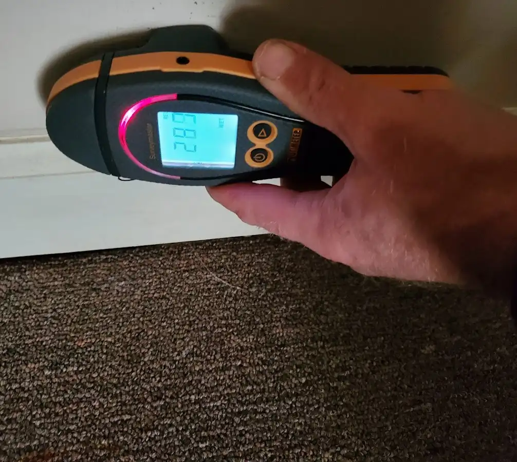Moisture detection at baseboard during Sewage Cleanup & Sanitation in Roscoe